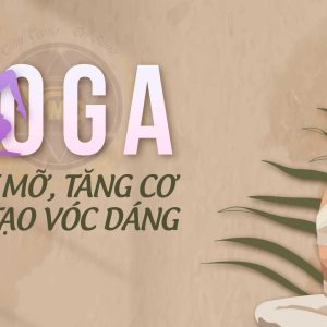 Yoga đốt mỡ, tăng cơ và tái tạo vóc dáng