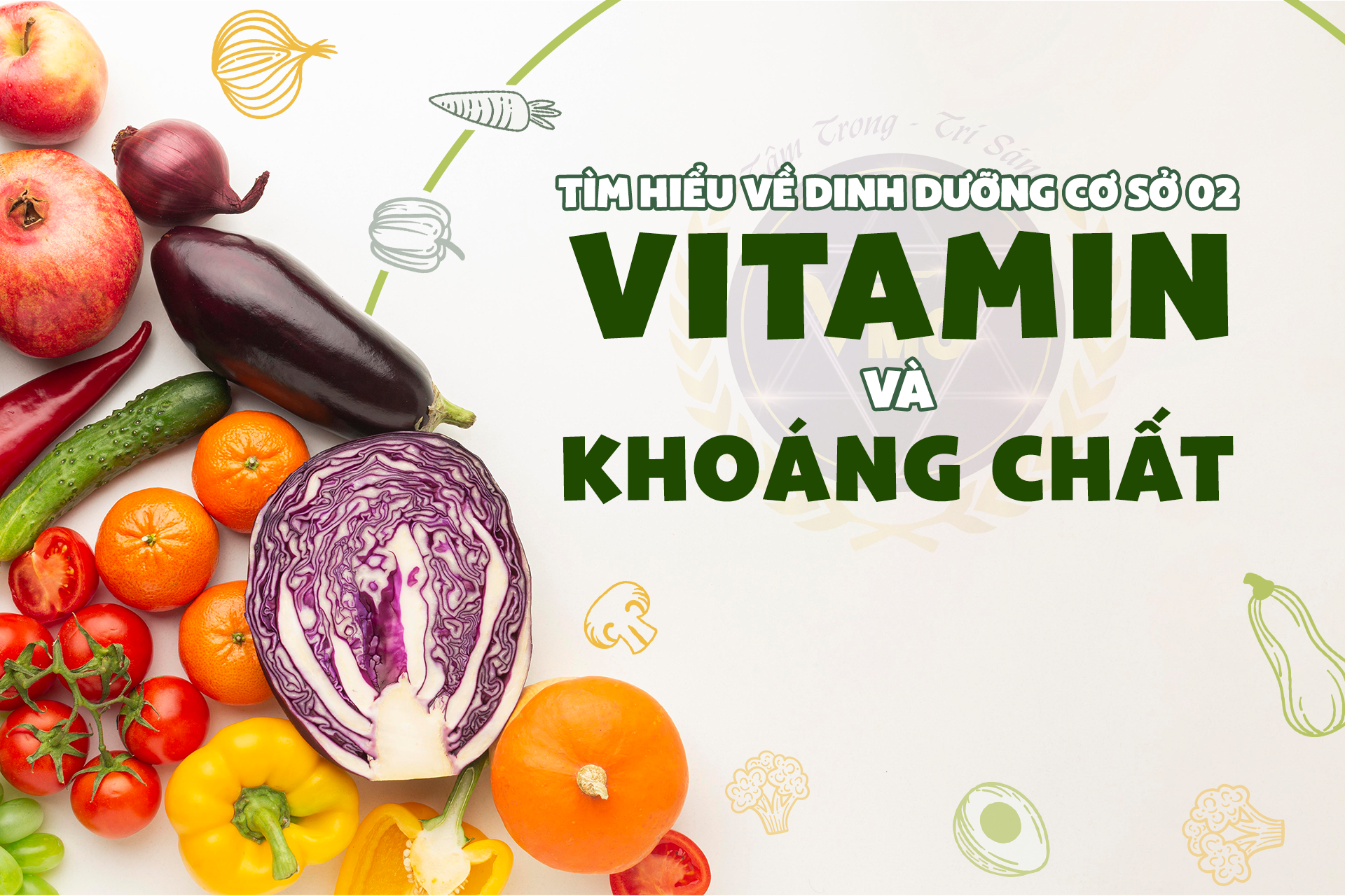 TÌM HIỂU VỀ DINH DƯỠNG CƠ SỞ 02 - VITAMIN VÀ KHOÁNG CHẤT